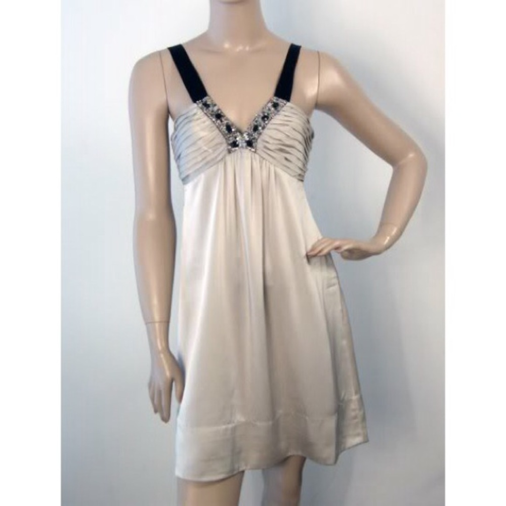 BCBG Jewel Dress Size 2